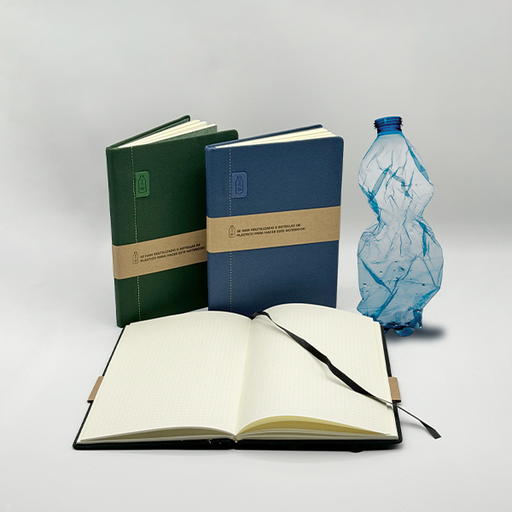 AGENDA RPTE 21BL  2026 